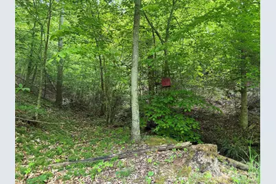 408 Arvil Gosnell Road, Marshall, NC 28753 - Photo 29