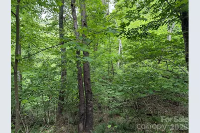 408 Arvil Gosnell Road, Marshall, NC 28753 - Photo 25