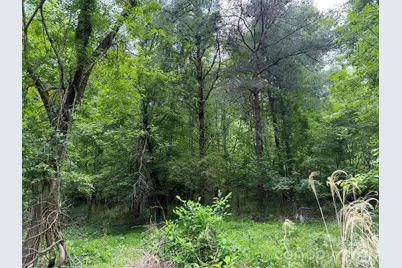 408 Arvil Gosnell Road, Marshall, NC 28753 - Photo 7