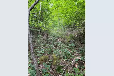 408 Arvil Gosnell Road, Marshall, NC 28753 - Photo 27