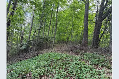 408 Arvil Gosnell Road, Marshall, NC 28753 - Photo 3