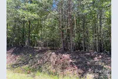 0 Luckadoo Mountain Road #177, Bostic, NC 28018 - Photo 11