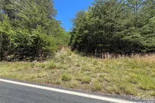 0 Luckadoo Mountain Rd, Bostic, NC 28018 - Photo 1