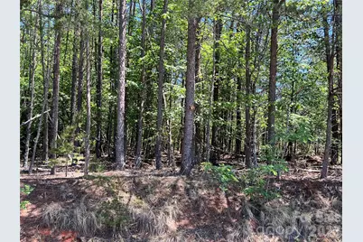 0 Luckadoo Mountain Road #177, Bostic, NC 28018 - Photo 9