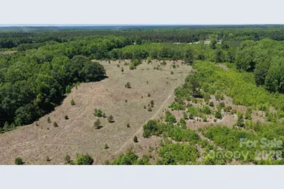 000 Hwy 151 Highway, Jefferson, SC 29718 - Photo 9