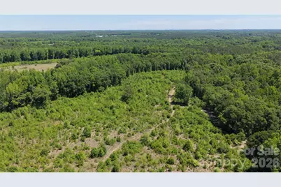 000 Hwy 151 Highway, Jefferson, SC 29718 - Photo 5