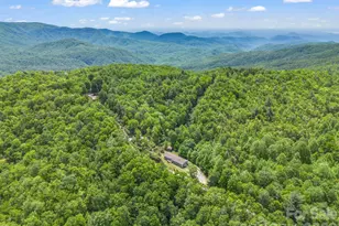 2053 Nancy Mountain Rd, Rosman, NC 28772 - Photo 45