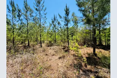 231 Jc Road, Patrick, SC 29584 - Photo 9