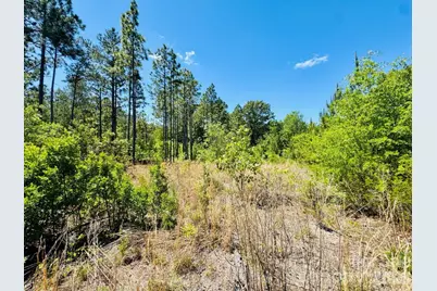231 Jc Road, Patrick, SC 29584 - Photo 7