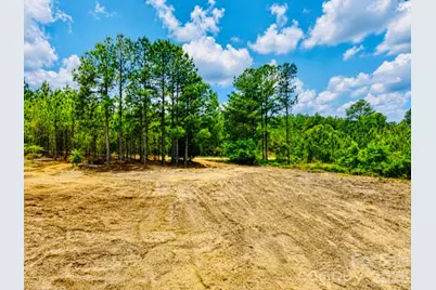 231 Jc Road, Patrick, SC 29584 - Photo 3