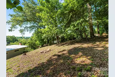 36 Robinwood Avenue, Asheville, NC 28806 - Photo 45