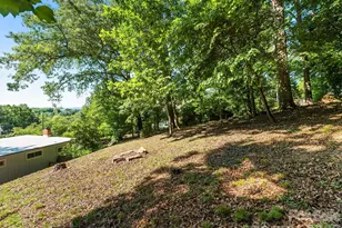 36 Robinwood Ave, Asheville, NC 28806 - Photo 45