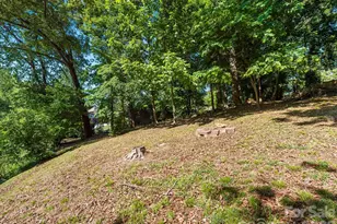 36 Robinwood Ave, Asheville, NC 28806 - Photo 43