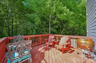 6005 Whitehawk Hill Rd, Mint Hill, NC 28227 - Photo 29