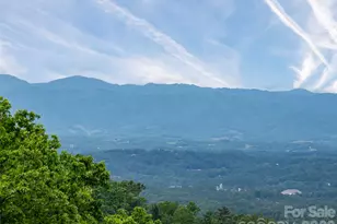 29 Elk Ridge Dr, Asheville, NC 28804 - Photo 3