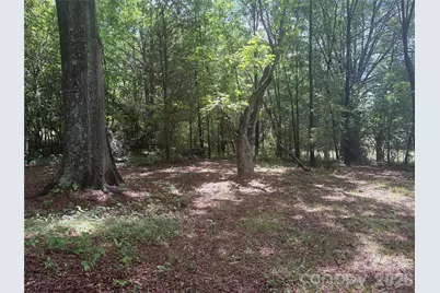 3880 Love Road, Claremont, NC 28610 - Photo 5