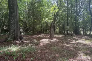 3880 Love Rd, Claremont, NC 28610 - Photo 5
