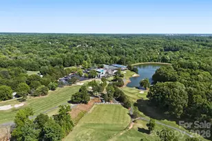 9524 Rainbow Forest Dr, Charlotte, NC 28277 - Photo 39