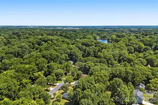 9524 Rainbow Forest Dr, Charlotte, NC 28277 - Photo 35