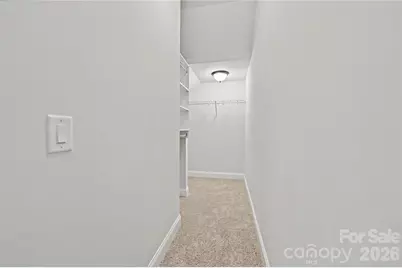 17306 Saranita Lane, Charlotte, NC 28278 - Photo 27