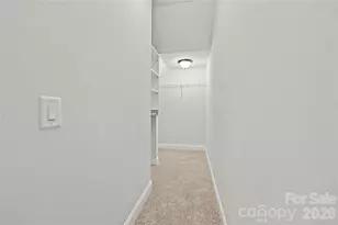 17306 Saranita Ln, Charlotte, NC 28278 - Photo 27