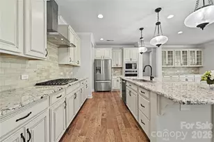 17306 Saranita Ln, Charlotte, NC 28278 - Photo 13