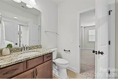 17306 Saranita Lane, Charlotte, NC 28278 - Photo 33