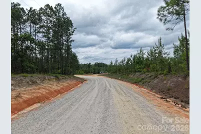 0000 Jc Road, Patrick, SC 29584 - Photo 17