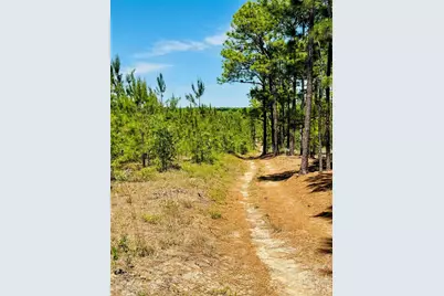 0000 Jc Road, Patrick, SC 29584 - Photo 11