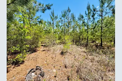 0000 Jc Road, Patrick, SC 29584 - Photo 7
