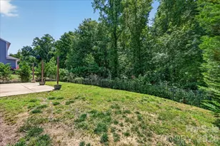 2053 Pine Siskin Ct, Fort Mill, SC 29707 - Photo 47