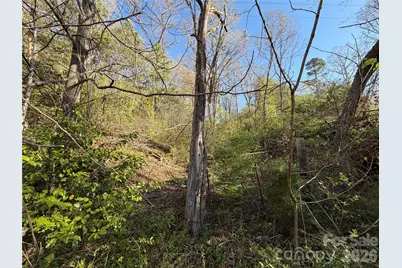 219 Bee Ridge Road, Asheville, NC 28803 - Photo 7