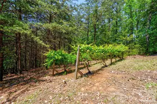 389 Woodgate Dr, Bostic, NC 28018 - Photo 17