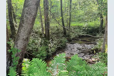Lot 64 Shuttle Mill Crossing, Lake Lure, NC 28746 - Photo 5