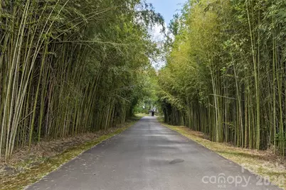61 Bamboo Trail, Candler, NC 28715 - Photo 37