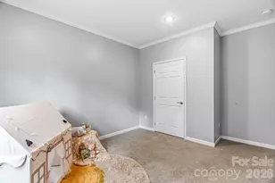 38 Fish Lake Dr, Fletcher, NC 28732 - Photo 29