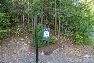197 Woodby Ridge Rd, Vilas, NC 28692 - Photo 41