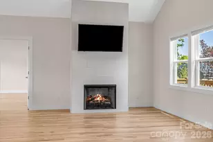 215 Oak Mdw Ln, Asheville, NC 28804 - Photo 3