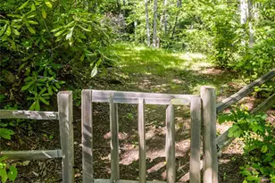 2 Cherokee Orchard Ct, Fairview, NC 28730 - Photo 41