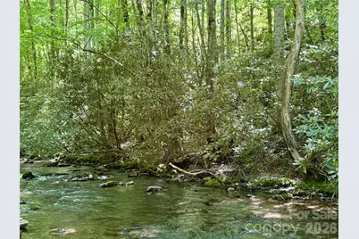 0 Timber Estates Road #11, Bryson City, NC 28713 - Photo 1