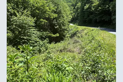 0 Timber Estates Road #11, Bryson City, NC 28713 - Photo 3