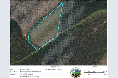00 White Store Road, Peachland, NC 28133 - Photo 3
