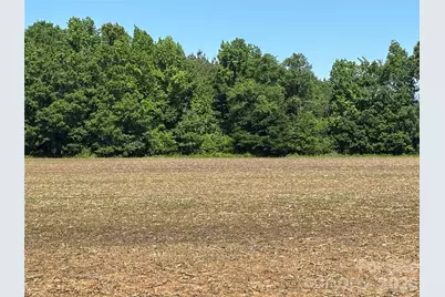 00 White Store Road, Peachland, NC 28133 - Photo 9