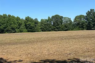 00 White Store Rd, Peachland, NC 28133 - Photo 1
