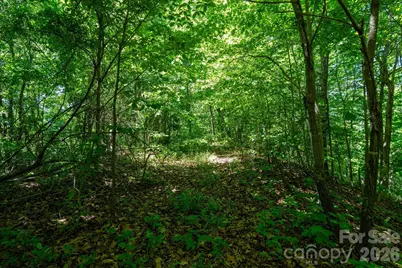 99999 Winding Ridge Road, Fairview, NC 28730 - Photo 15