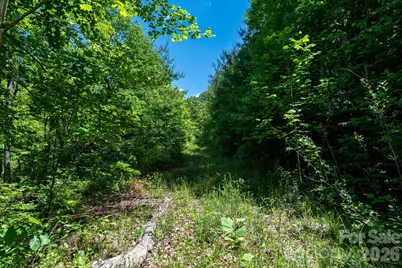 99999 Winding Ridge Road, Fairview, NC 28730 - Photo 11