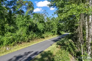 204 Jeff St, Hendersonville, NC 28739 - Photo 45