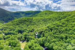 238 Texas Spur Rd, Montreat, NC 28757 - Photo 37