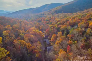 238 Texas Spur Rd, Montreat, NC 28757 - Photo 33