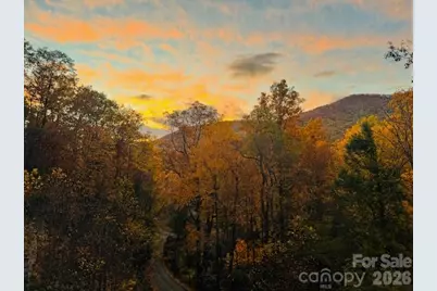 238 Texas Spur Road, Montreat, NC 28757 - Photo 35